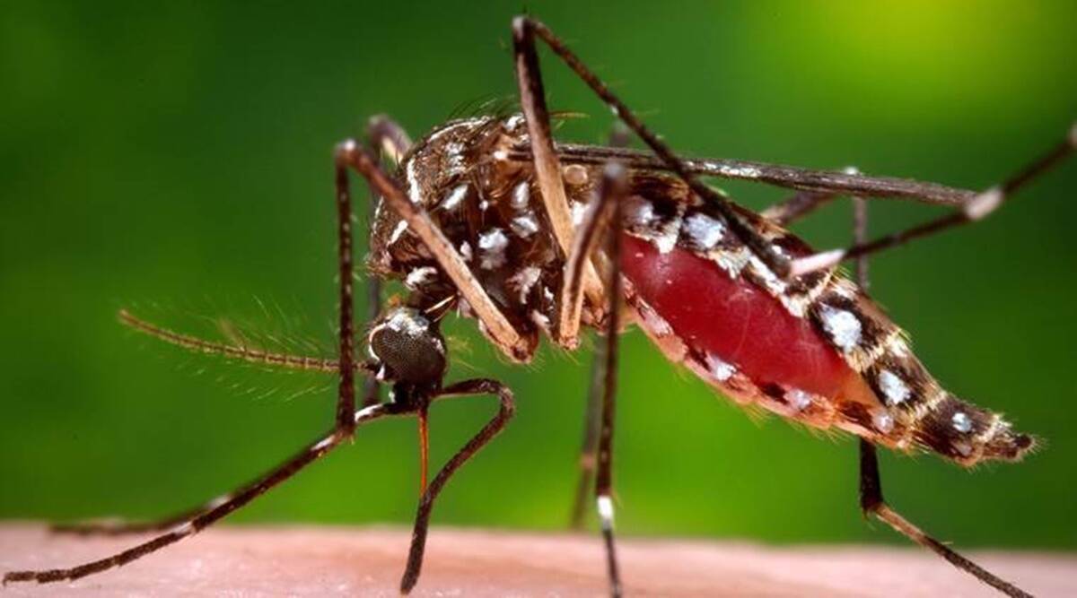 Malaria deaths drop by 74% in Ghana
