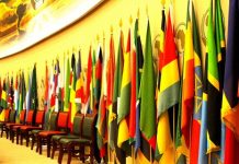 Africa Union Day and emerging threats