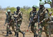 Heighten Terror Threats in West Africa & Lessons