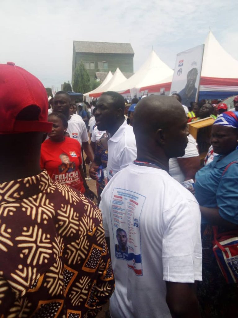 Smooth process at Greater Accra NPP Regional Elections