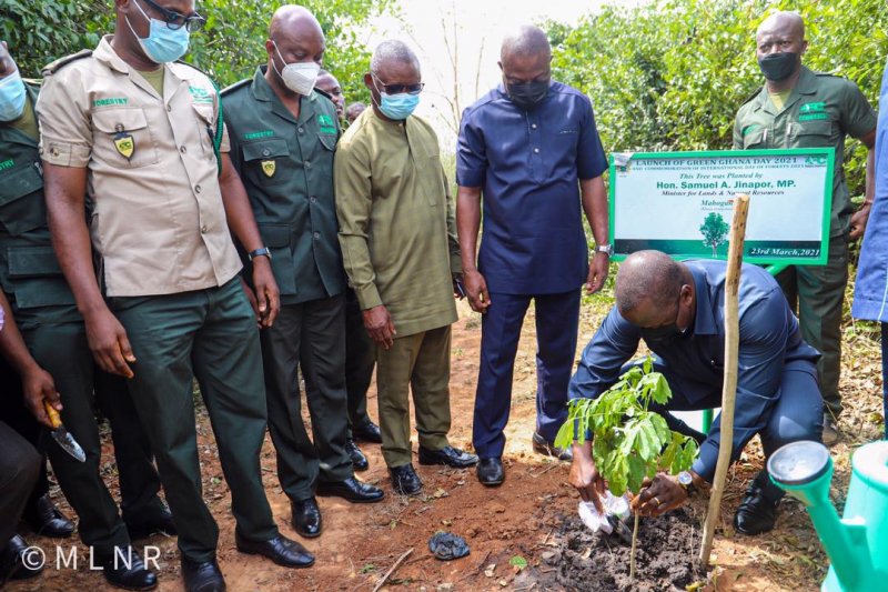 Green Ghana Project: Planting 20 million tree seedlings for generations
