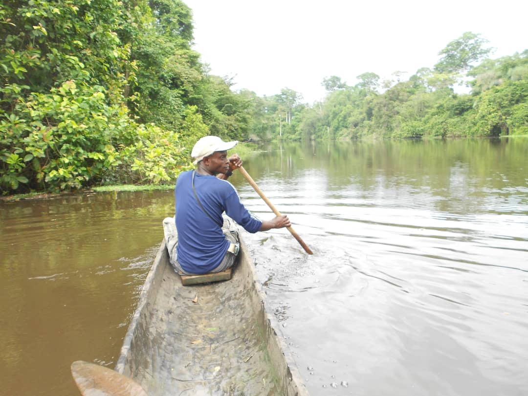 Environmental CSOs in Guinean Forests of West Africa commended for reducing illegal activities