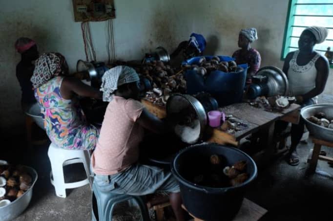 Environmental CSOs in Guinean Forests of West Africa commended for reducing illegal activities