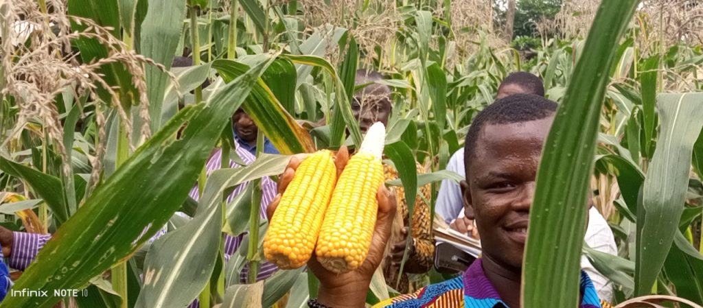 MoFA introduces farmers to new organic fertilizer