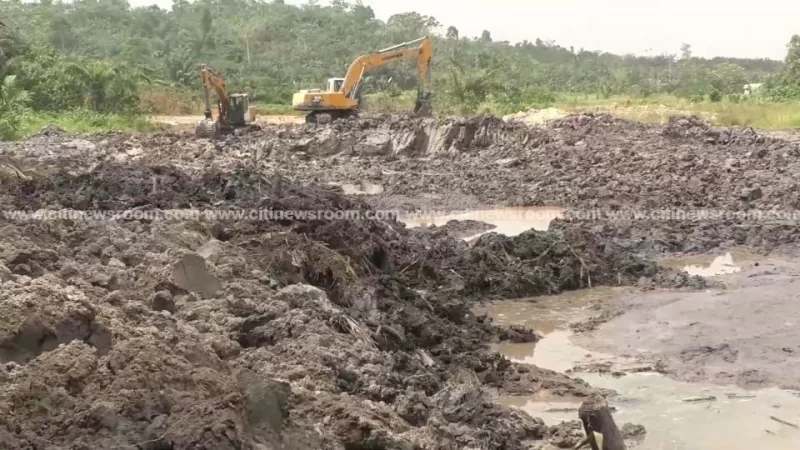 Galamsey takes over rice farms in Upper Denkyira East