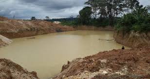 Galamsey takes over rice farms in Upper Denkyira East