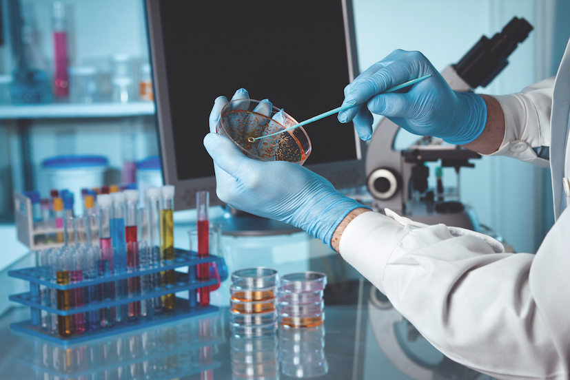 WHO releases first-ever list of health-threatening fungi