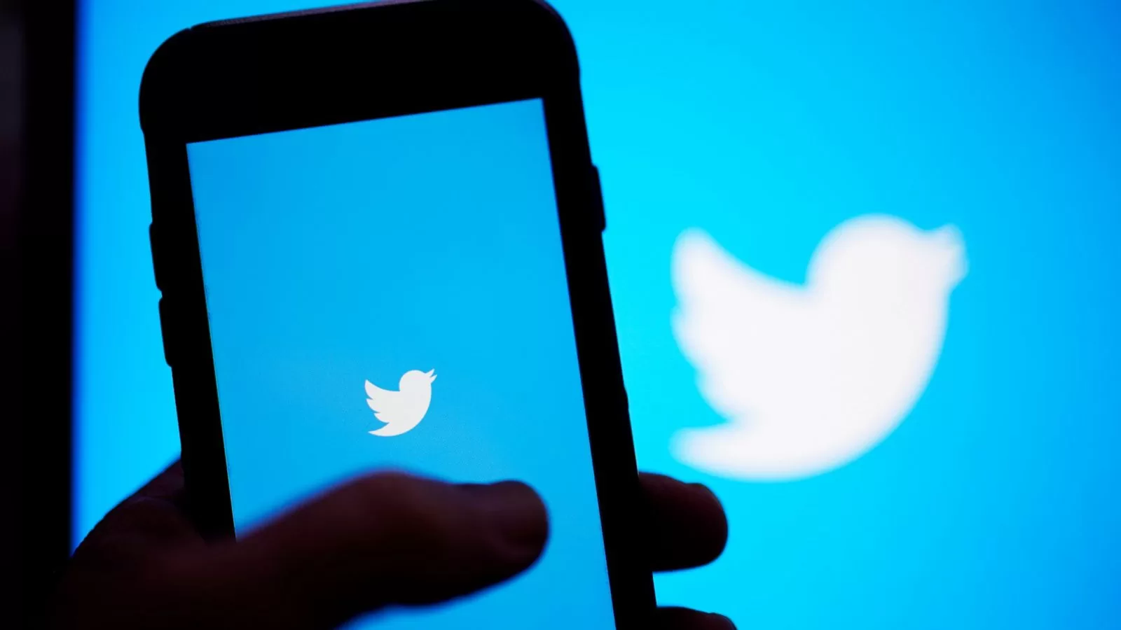 Twitter plans to remove and archive inactive accounts