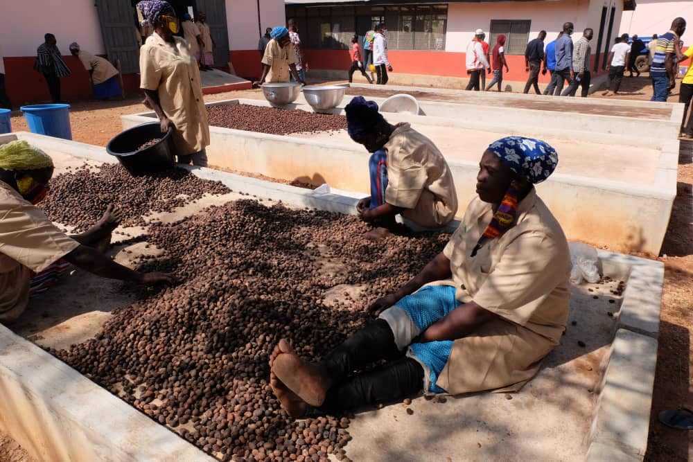 Sunkpa Shea Women’s Cooperative in Murugu in Savannah Region of Ghana win $10,000