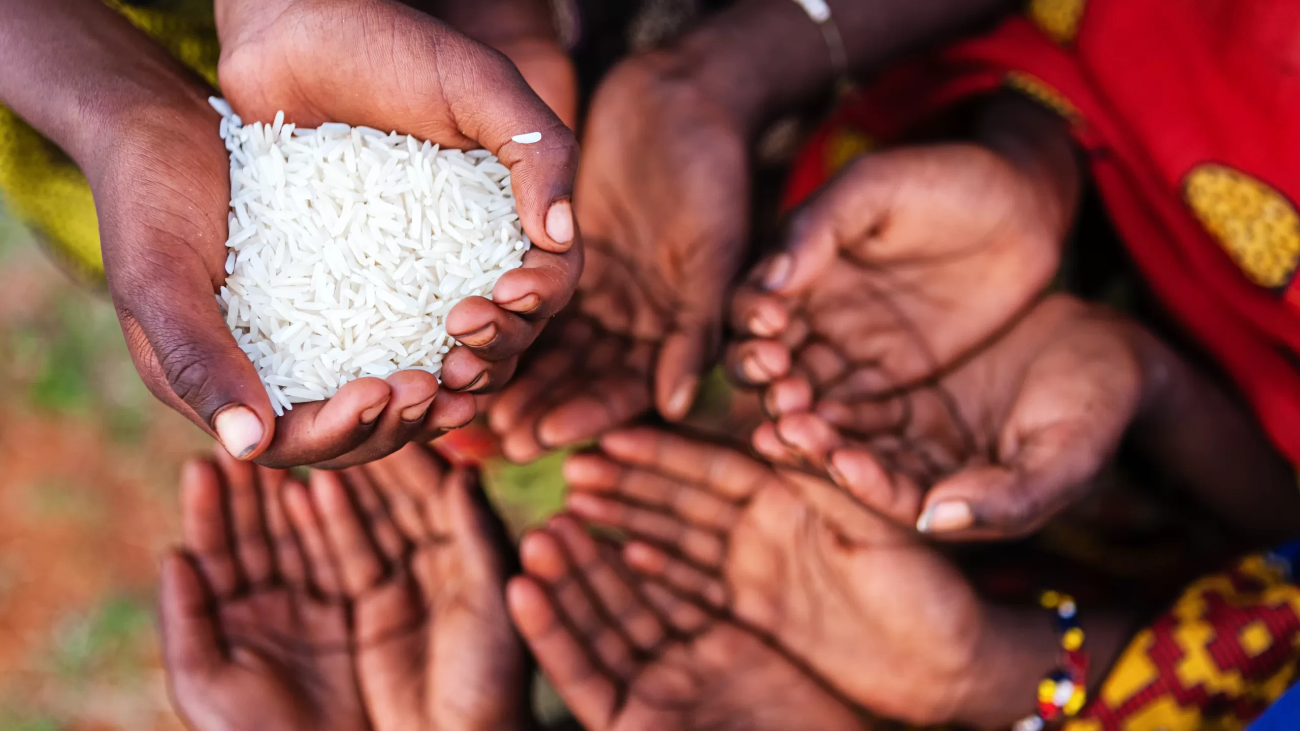More resources needed to fight global hunger - Alliance for Science Global South Hub