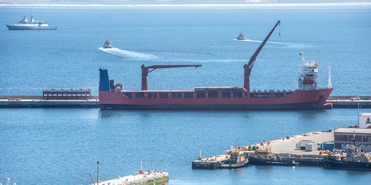 South Africa gave weapons to Russia - US diplomat says