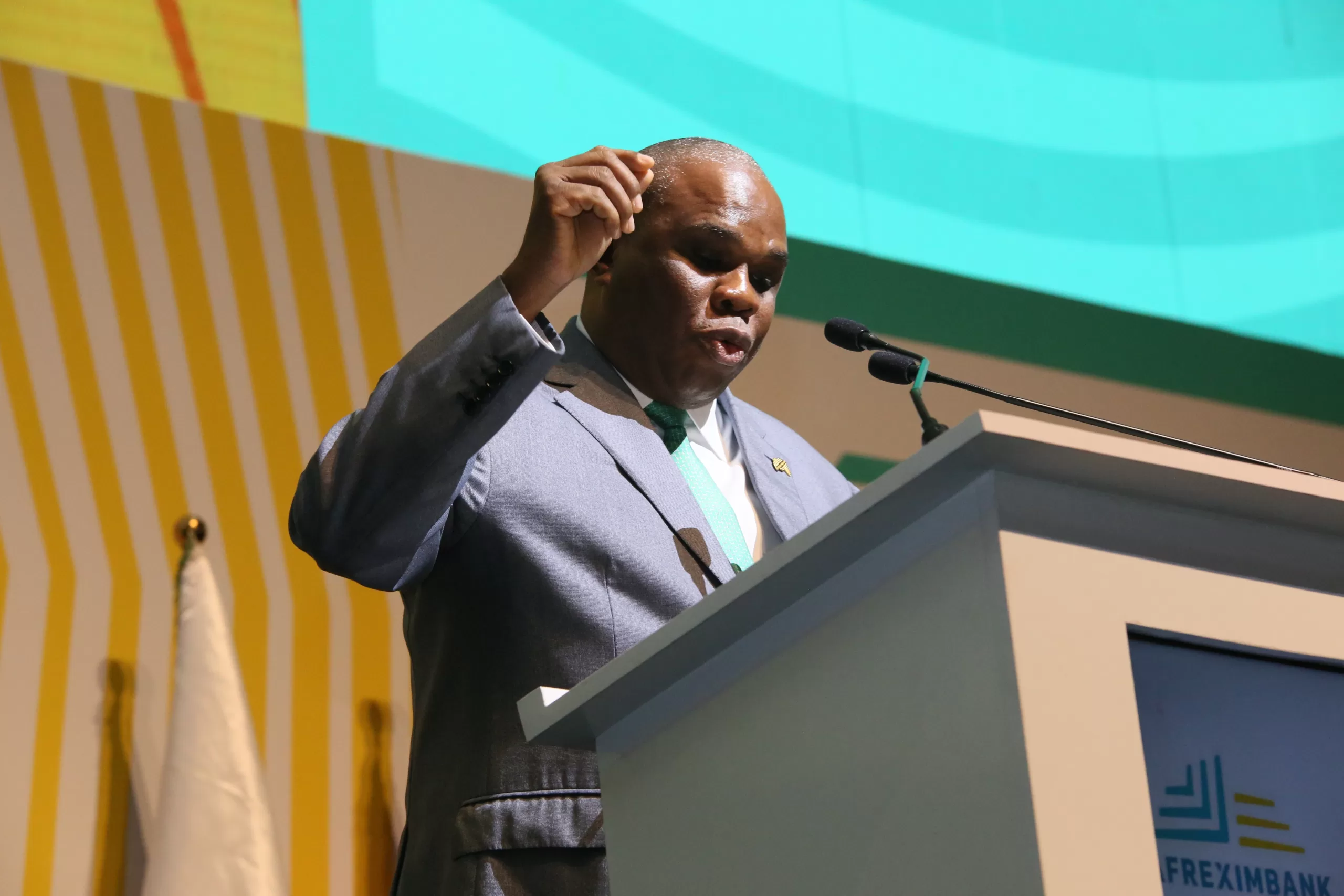 Afreximbank Boss