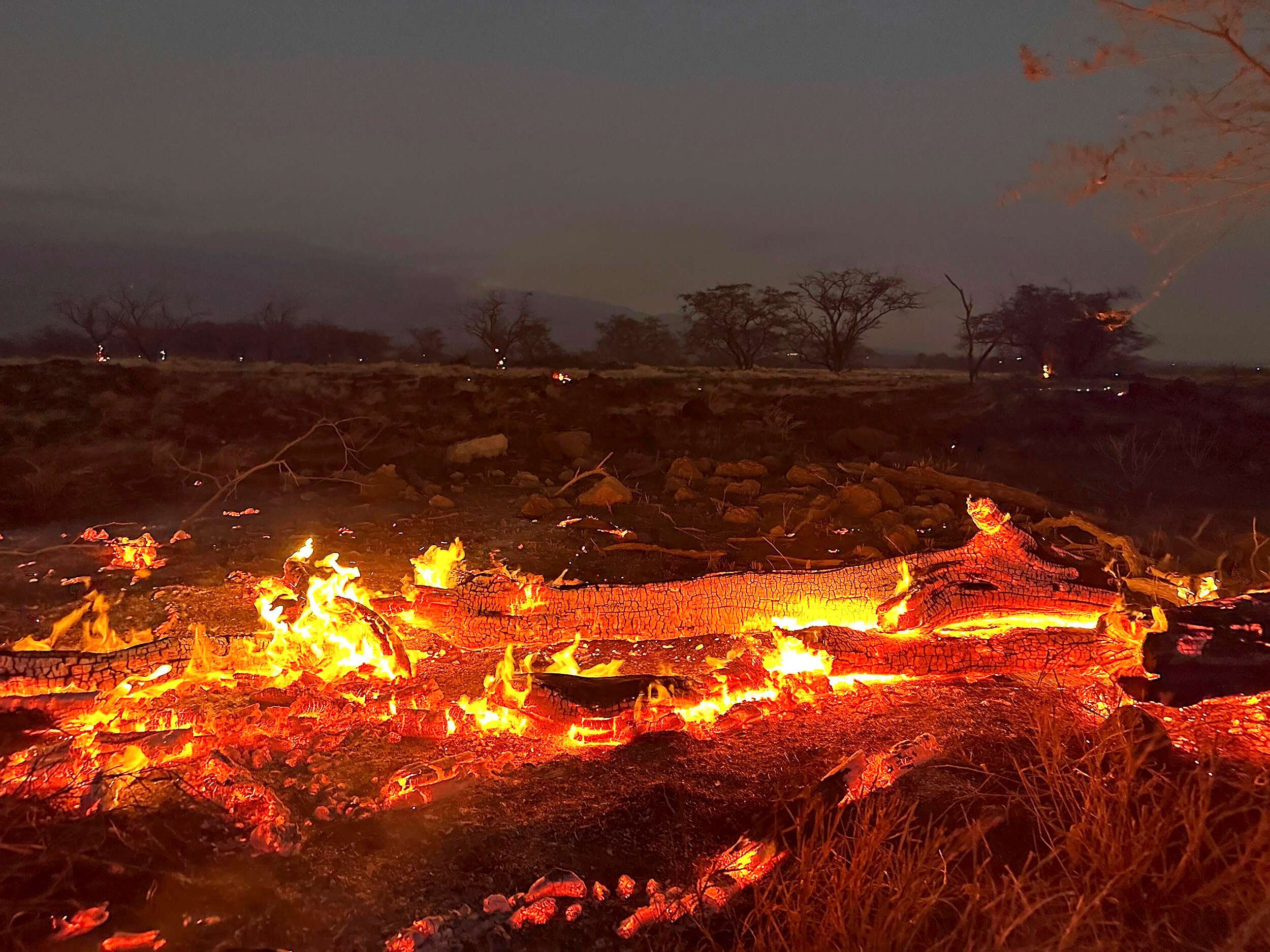 Hawaii fires: Maui death toll climbs to 80