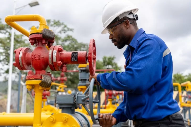 Minority in Parliament