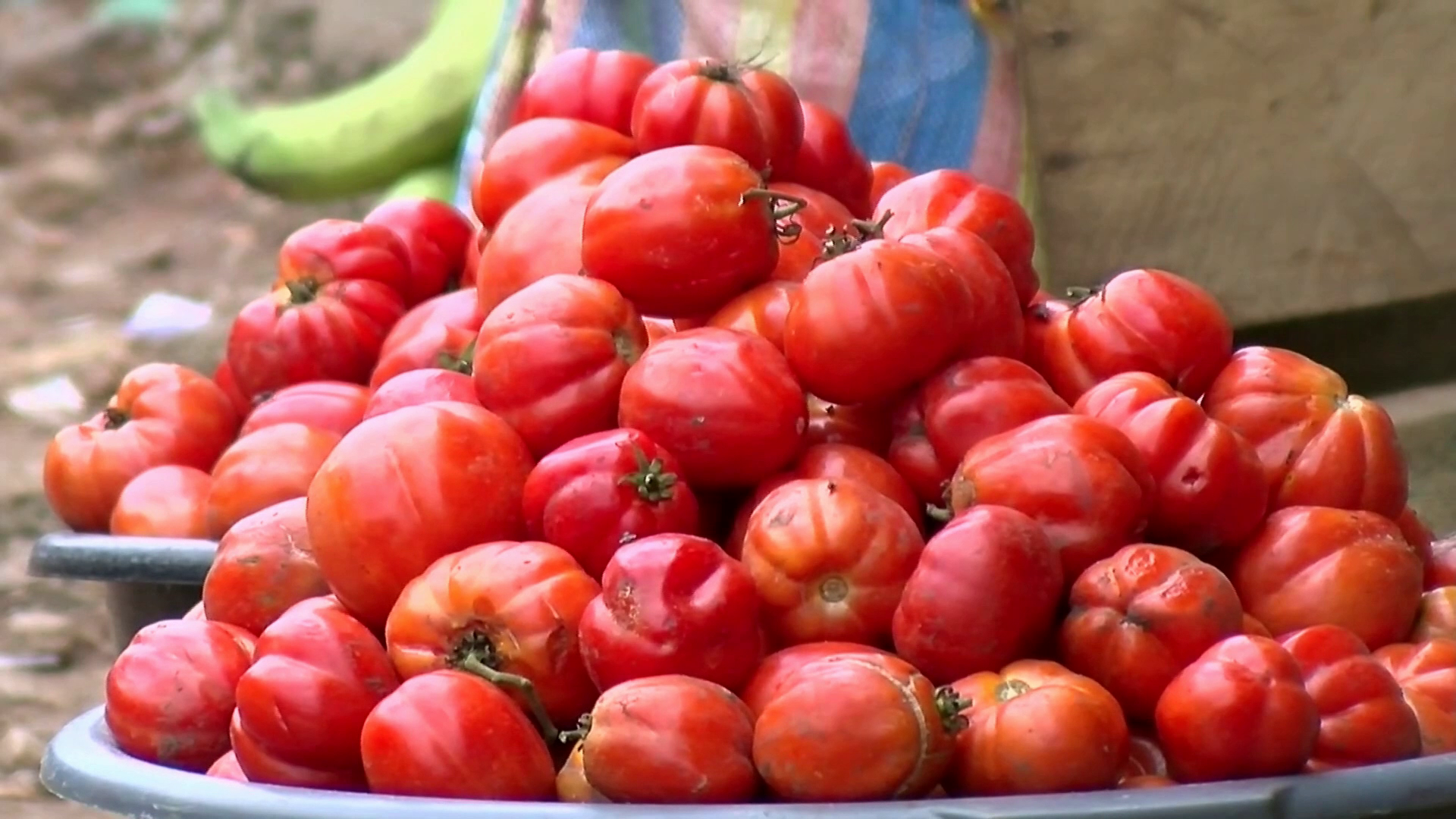 Tomato shortage hits Sunyani
