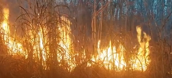 Fire incidents in Volta Region drop by 24.2 per cent in 2023