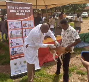 Oti Region Host National Rabies Day