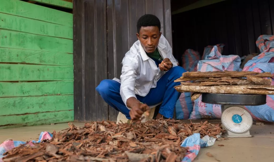 Public warned against mixing herbal concoctions with prescribed medicines