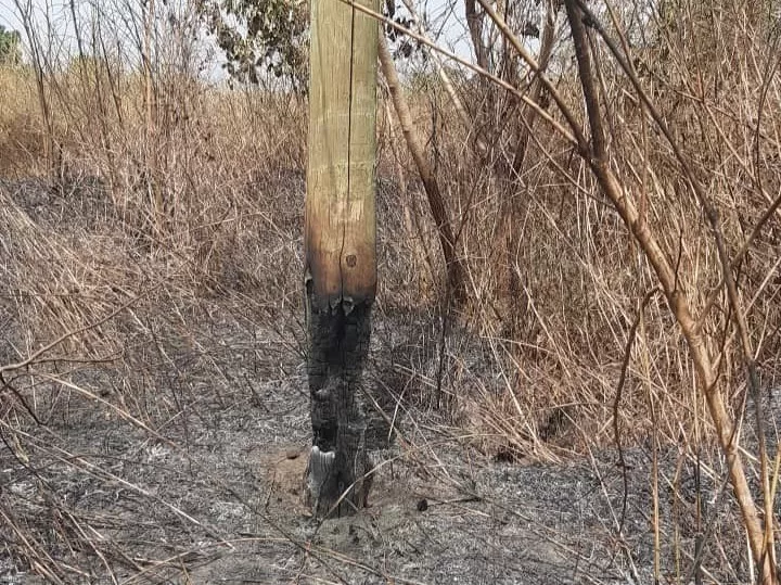 Bush fires affects ECG operations in Volta & Oti; Electricity poles replacement cost company over GHC1.3 million in 2023
