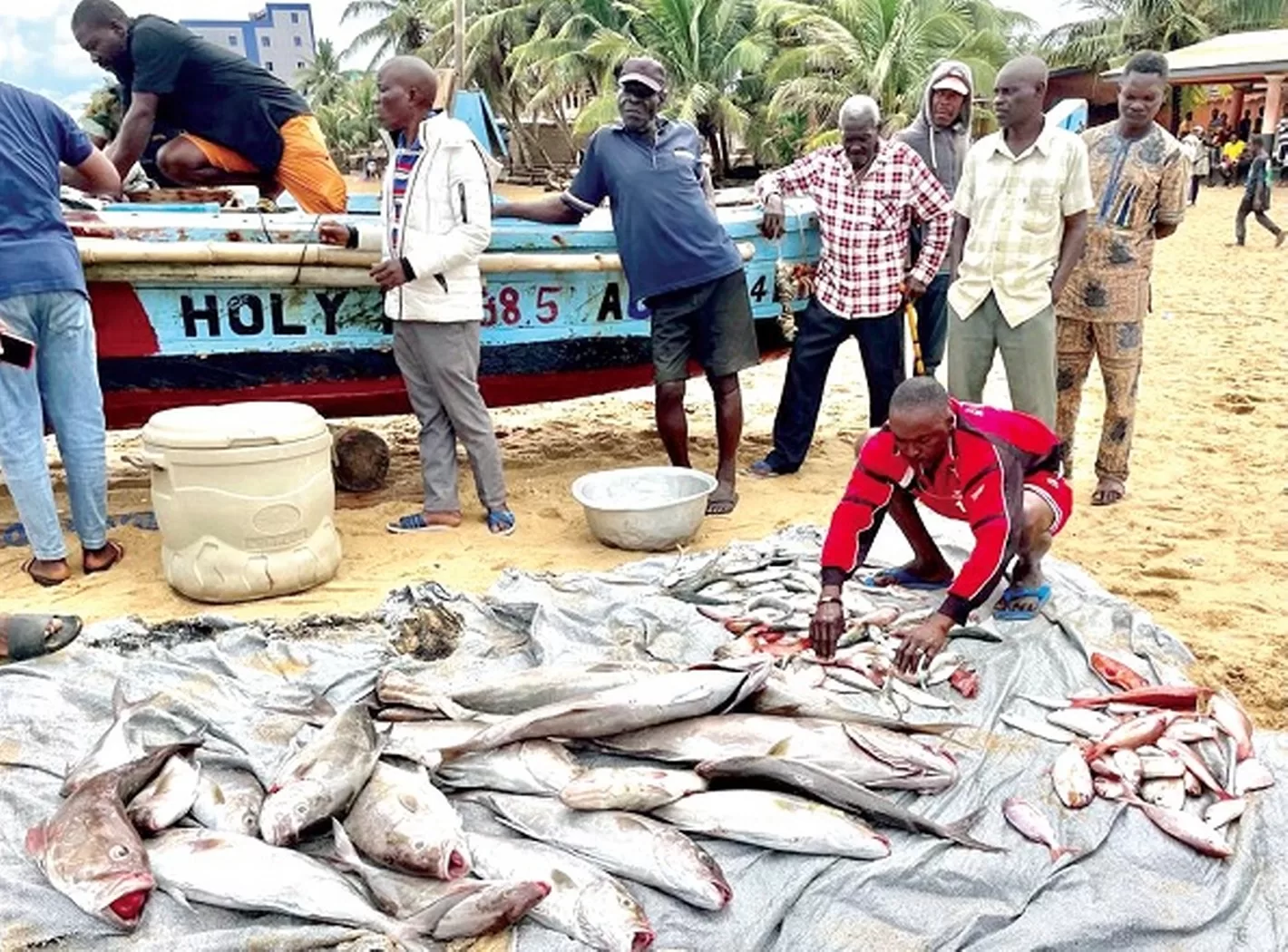 Traders, fishers confirm ‘sex for fish’ along coastal communities