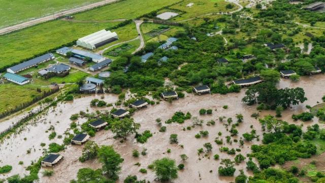 Kenya floods: Tourists stranded in Maasai Mara game reserve after heavy rains