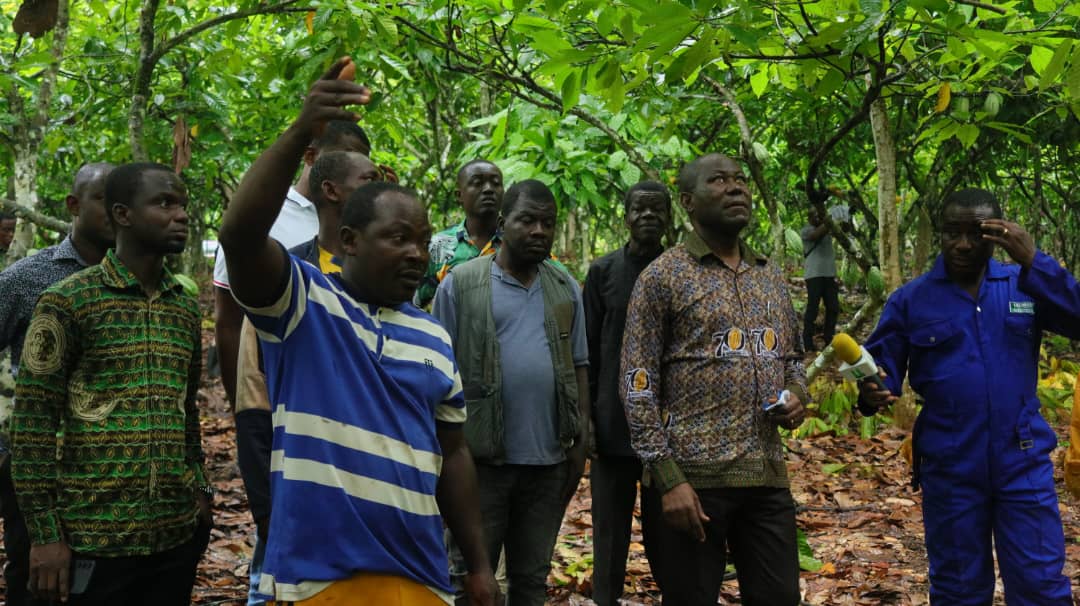 COCOBOD educates farmers on best agricultural practices