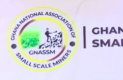 GNASSM pledges support for Lands Minister