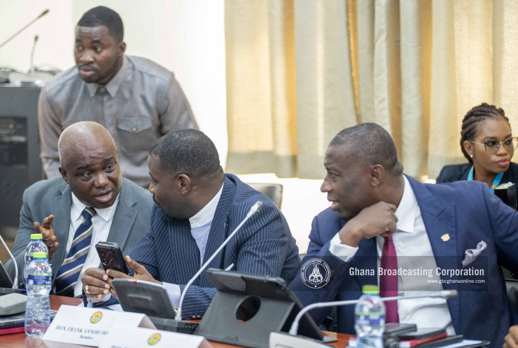 Hon. Naa Momo's Vetting