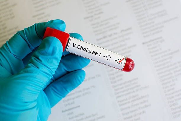Agona West records 11 cholera cases