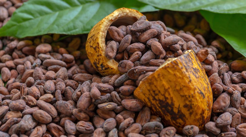 cocoa