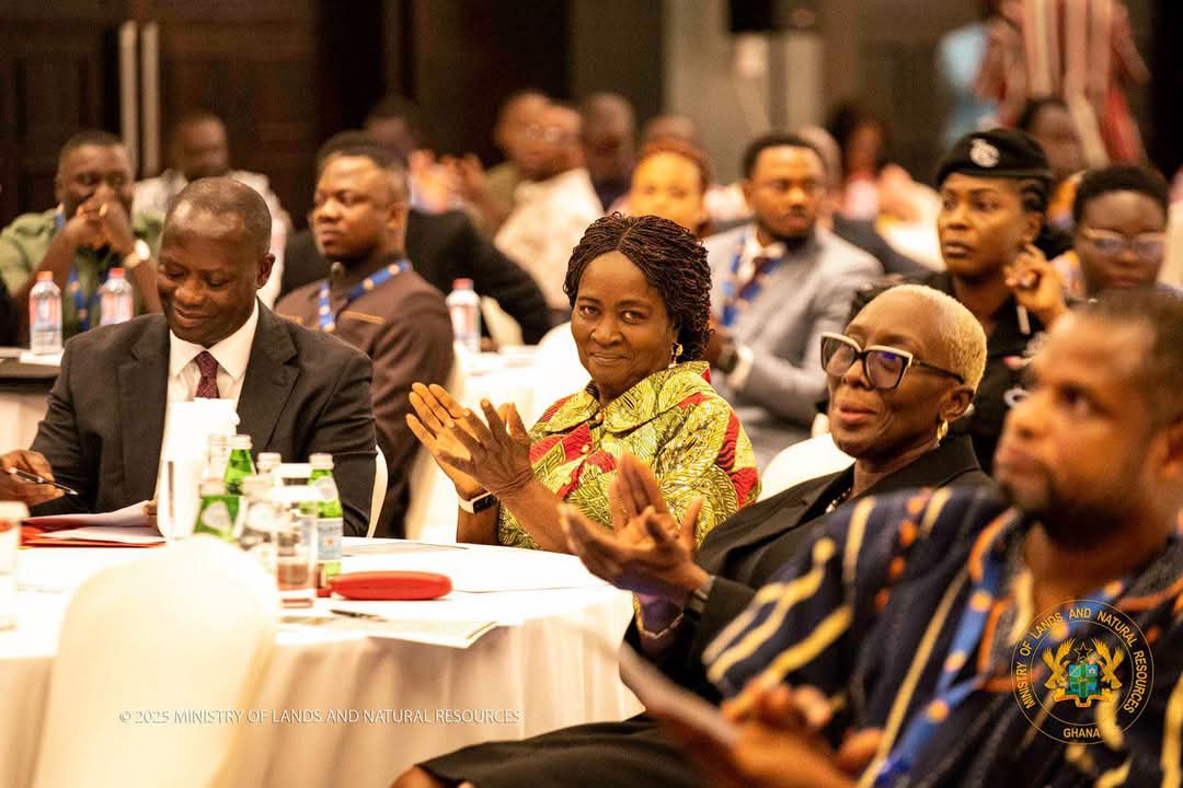 Vice President calls on MPs to join forces against galamsey threat