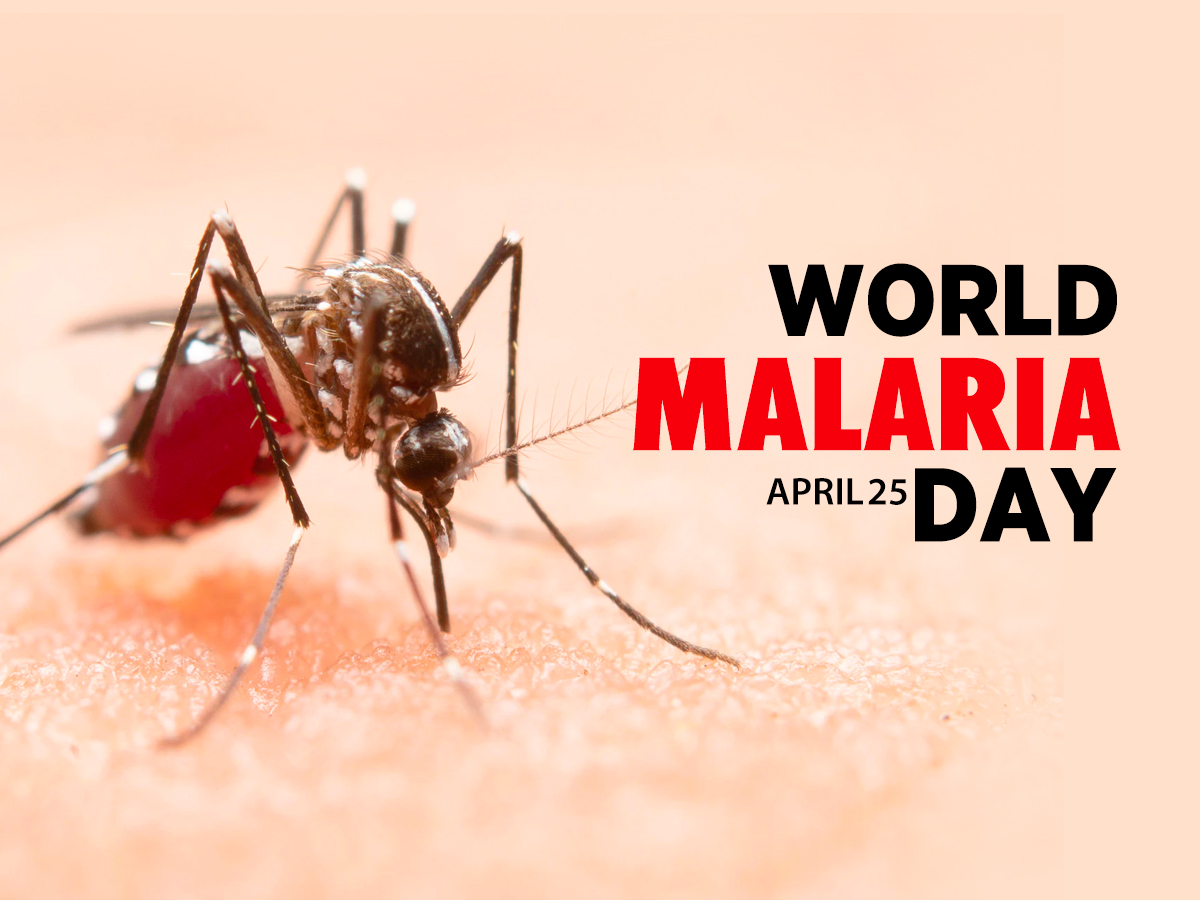 World Malaria Day: Ghana marks progress toward malaria elimination