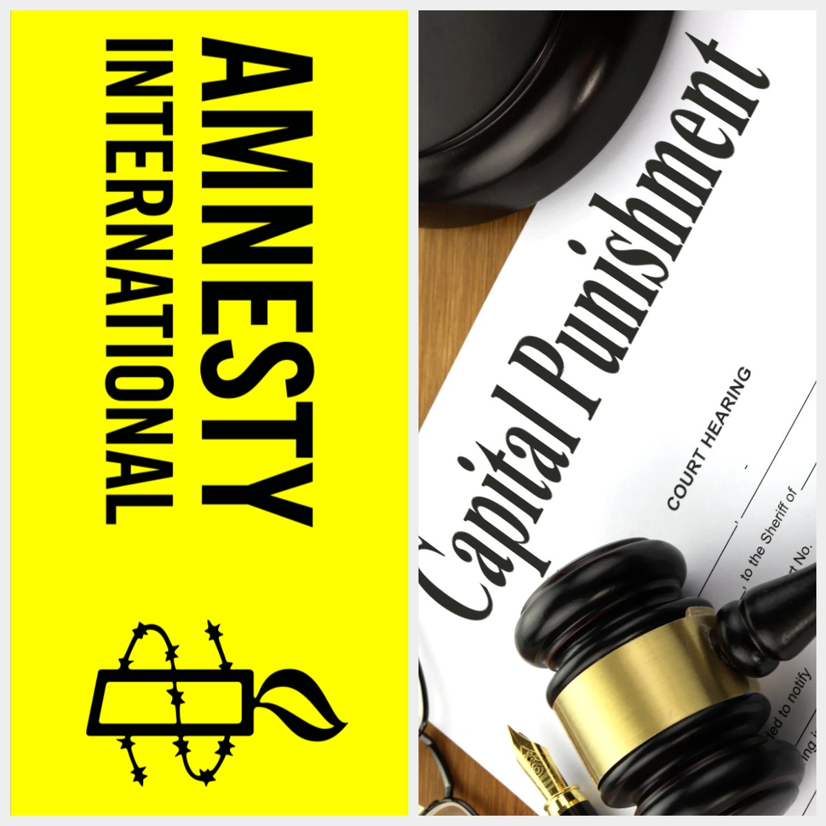 amnesty international