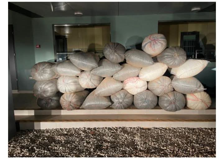 GIS intercepts 25 bags of smuggled cocoa beans at Bunkpurugu