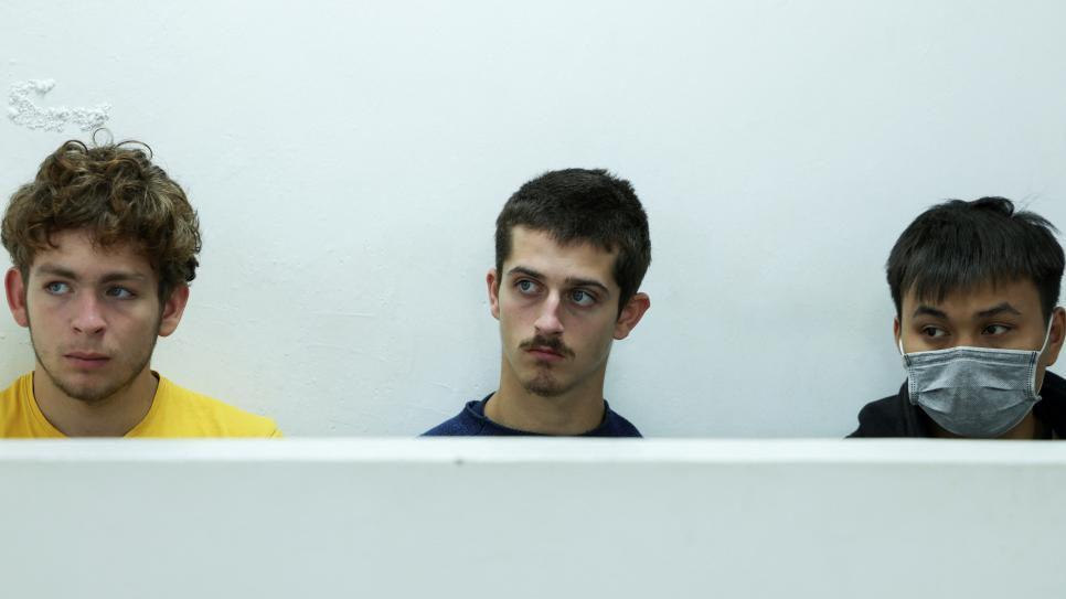 International gang sentenced for smuggling thousands of ants in Kenya