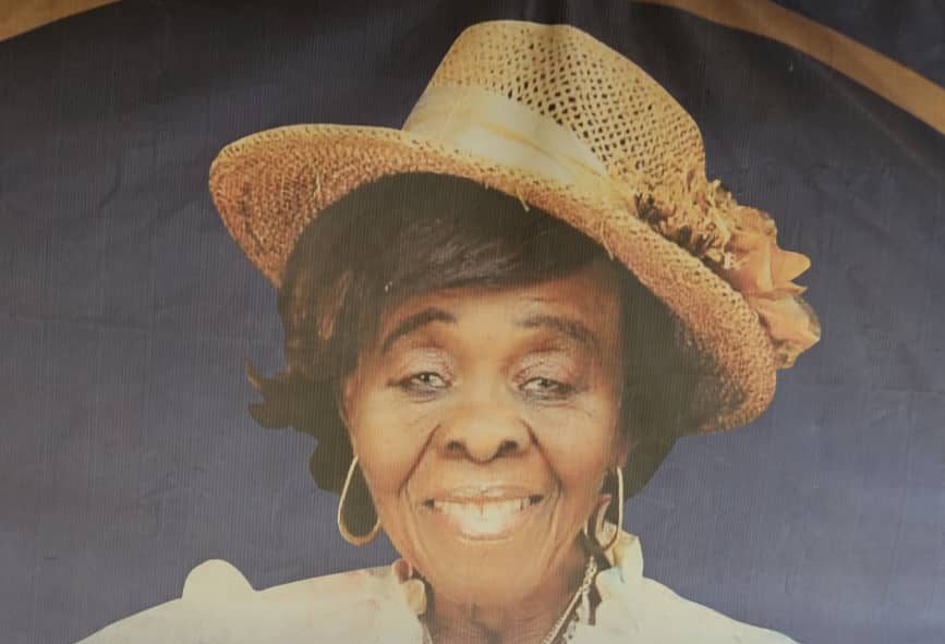 Celebrating motherhood in all forms: A Nurse's selfless acts