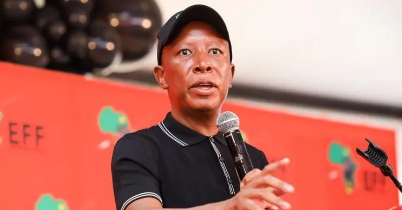 South African opposition politician hits out after failing to get UK visa