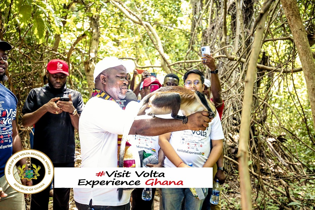 Tafi Atome Monkeys play by intelligence, not size – Volta Regional Minister
