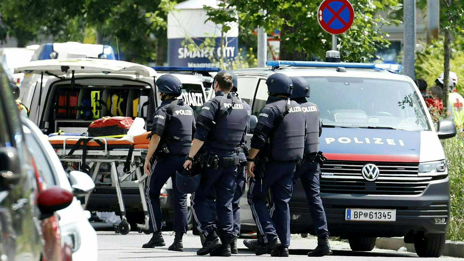 At least nine dead in Austria school shooting