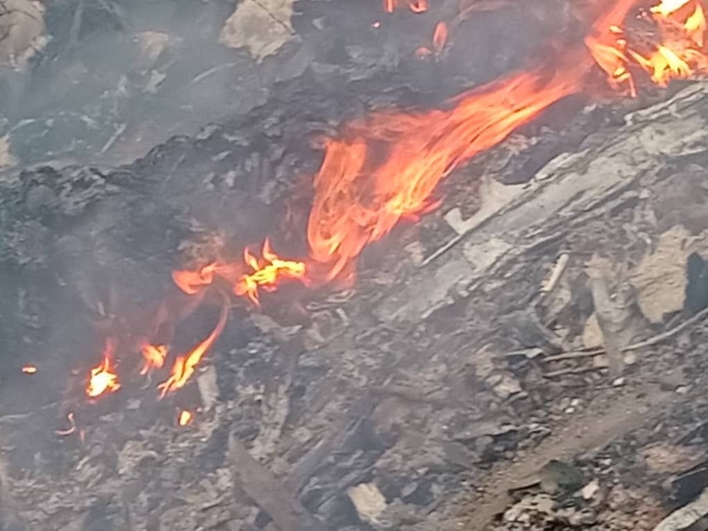 Majority in Parliament expresses deep grief following fatal military helicopter crash