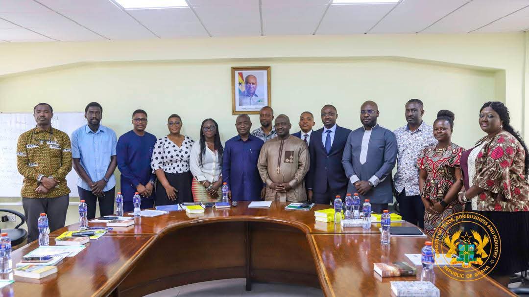Ghana moves to tackle e-commerce challenges as 26-member steering committee takes charge