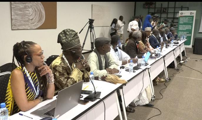 ECOWAS Lassa Fever Conference: Stakeholders call for inclusion of traditional medicine
