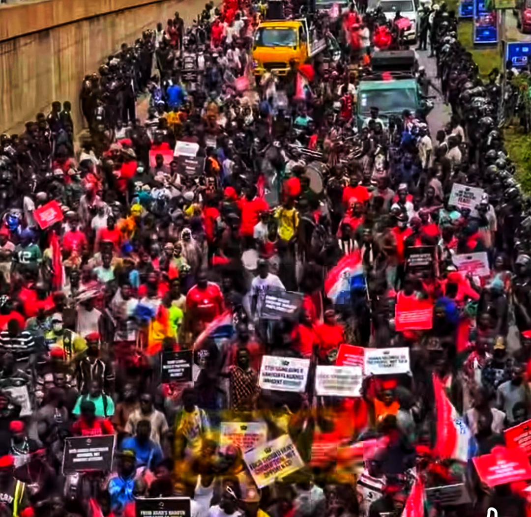 NPP petitions government over alleged political persecution