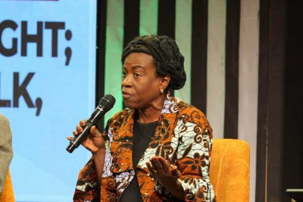 Government’s anti-galamsey fight faces growing criticism