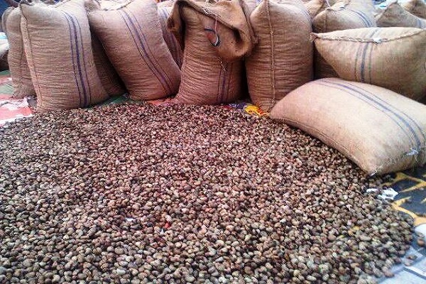 TCDA sets GHS12 per kg as minimum price for raw cashew nuts
