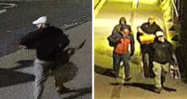 Hundreds of items stolen in 'high-value' Bristol museum raid