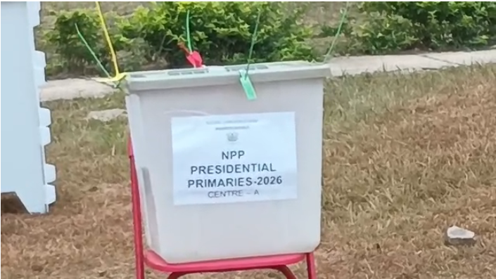 npp