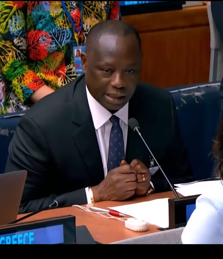 Ghana pursuing global forest goals with concrete action - Lands Minister tells UN forum