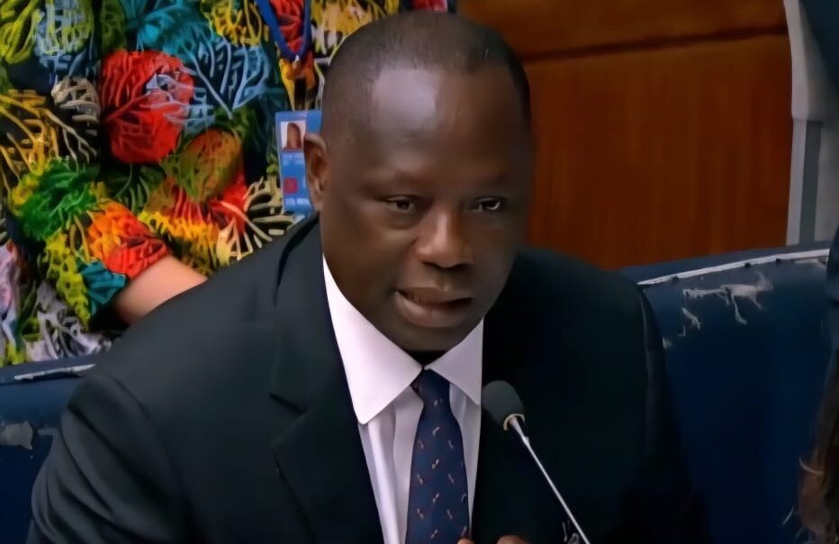Ghana pursuing global forest goals with concrete action – Lands Minister tells UN forum