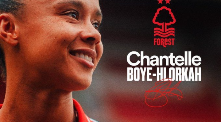 download - 2025-08-12T195424.714